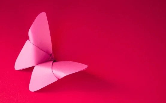 From Square to Spectacular! Your Guide to Origami Butterflies